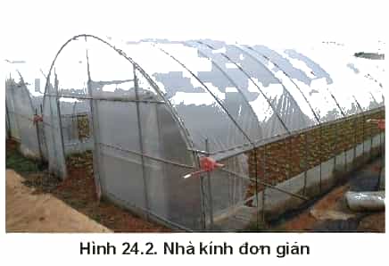 https://baivan.net/sites/default/files/styles/giua_bai/public/d/m/Y/24.2.png?itok=Lcmby5HS