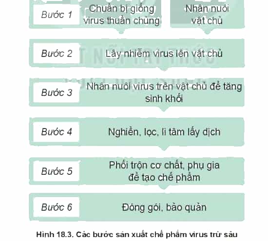 https://baivan.net/sites/default/files/styles/giua_bai/public/d/m/Y/20220217101506_wm_shs-cong-nghe-10-cong-nghe-trong-trot-92.jpg?itok=I8WdjvWU