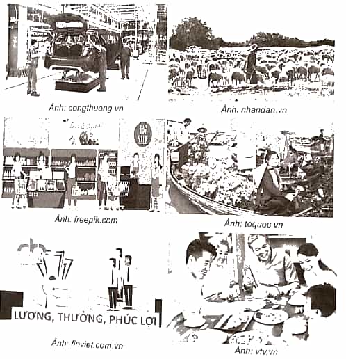 SBT Kinh tế Pháp luật 10 Bài 1 (Cánh diều): Các hoạt động kinh tế cơ bản trong đời sống xã hội  (ảnh 1)