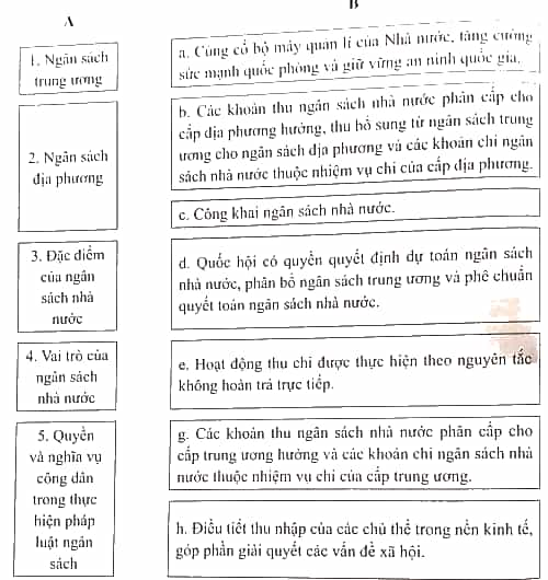 SBT Kinh tế Pháp luật 10 Bài 5 (Cánh diều): Ngân sách nhà nước (ảnh 1)