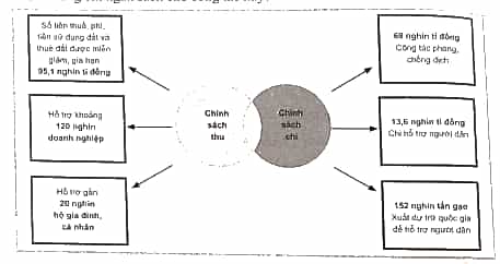 SBT Kinh tế Pháp luật 10 Bài 5 (Cánh diều): Ngân sách nhà nước (ảnh 1)