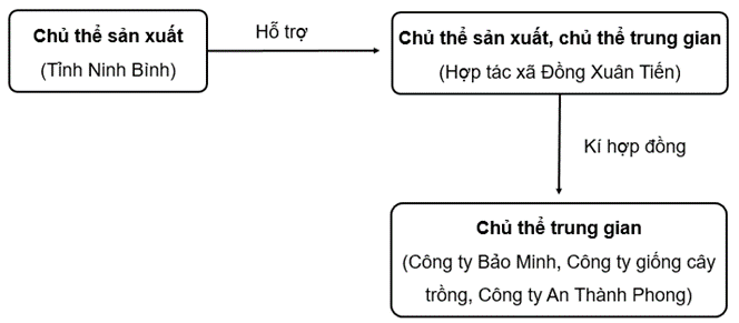 SBT Kinh tế Pháp luật 10 Bài 2 (Cánh diều): Các chủ thể của nền kinh tế (ảnh 1)