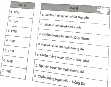 Phong trào Tây Sơn trang 48 SBT Lịch Sử 11