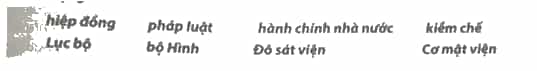 Chọn các từ hoặc cụm từ đã cho dưới đây, điền vào chỗ trống cho phù hợp về một số nét chính