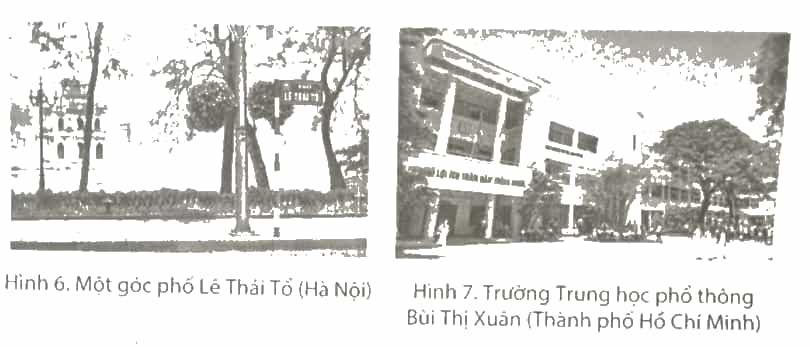 Tìm hiểu và cho biết một số nhân vật trong khởi nghĩa Lam Sơn
