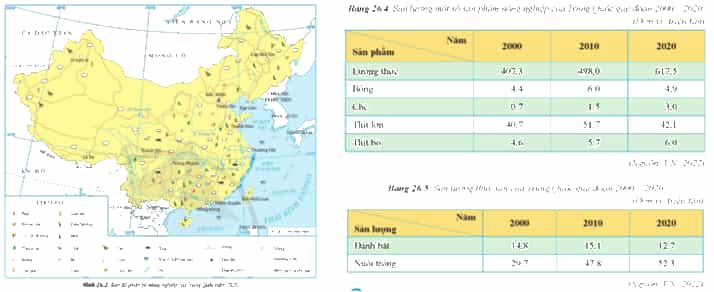 Xác định một số cây trồng, vật nuôi chính của Trung Quốc (ảnh 2)