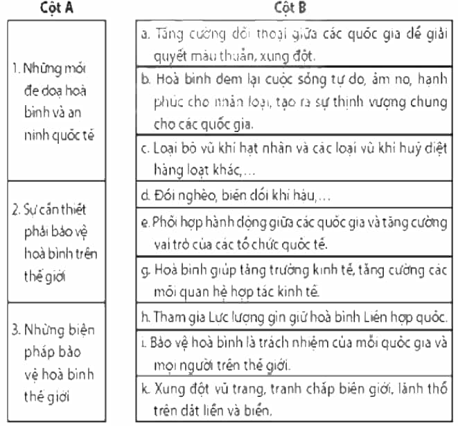 Nối các ý ở cột A với các ý ở cột B cho phù hợp về vấn đề bảo vệ hòa bình trên thế giới. (ảnh 1)