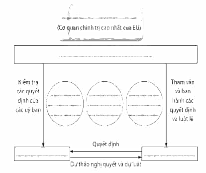 Hãy điền tên các cơ quan đầu não của EU vào sơ đồ dưới đây (ảnh 1)