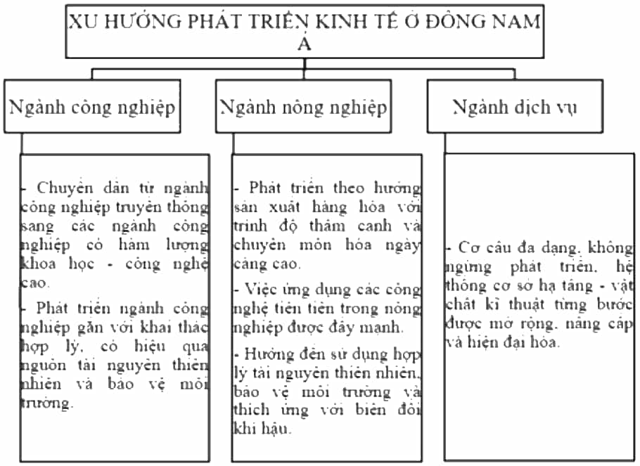 Hoàn thành thông tin vào sơ đồ dưới đây. (ảnh 2)