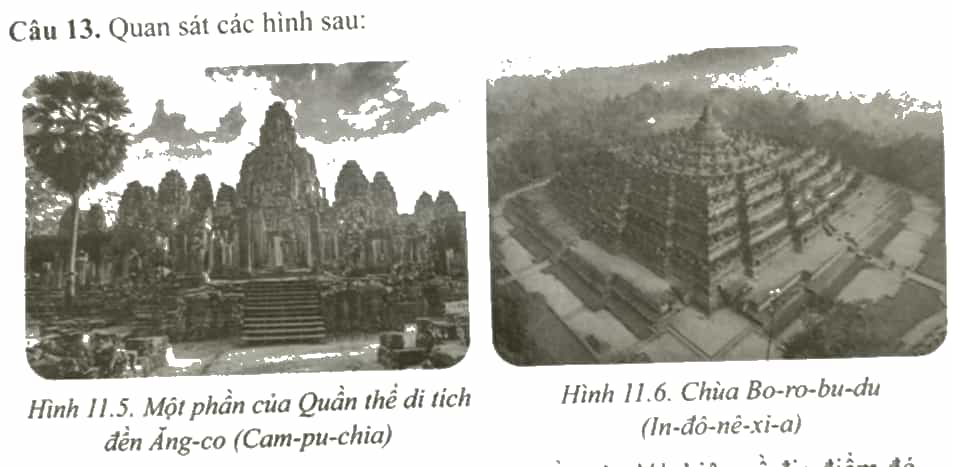 Quan sát các hình sau Lựa chọn một trong các hình trên