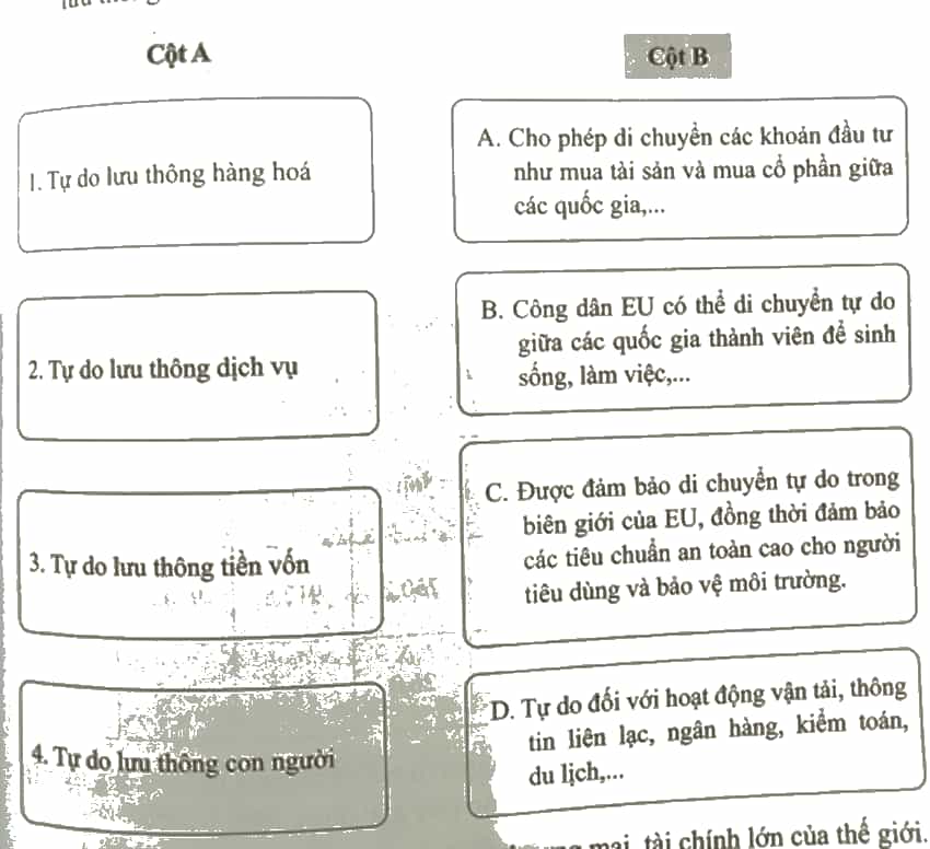 Nối ý ở cột A với ý ở cột B sao cho đúng với biểu hiện của việc tự do