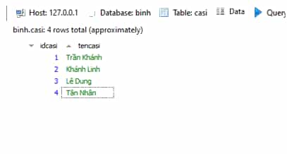 Cập nhật dữ liệu vào bảng casi