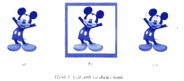 Với ảnh ở Hình la, sau khi sử dụng công cụ Crop để xác định