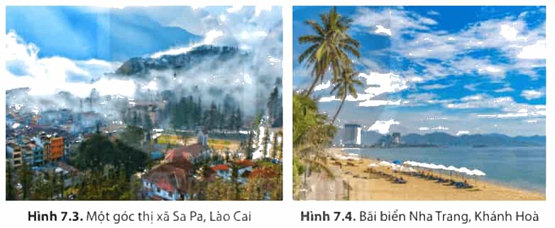 Dựa vào thông tin mục 2 các hình 7.3 7.4 và hiểu biết cá nhân hãy lấy ví dụ để phân tích vai trò của khí hậu