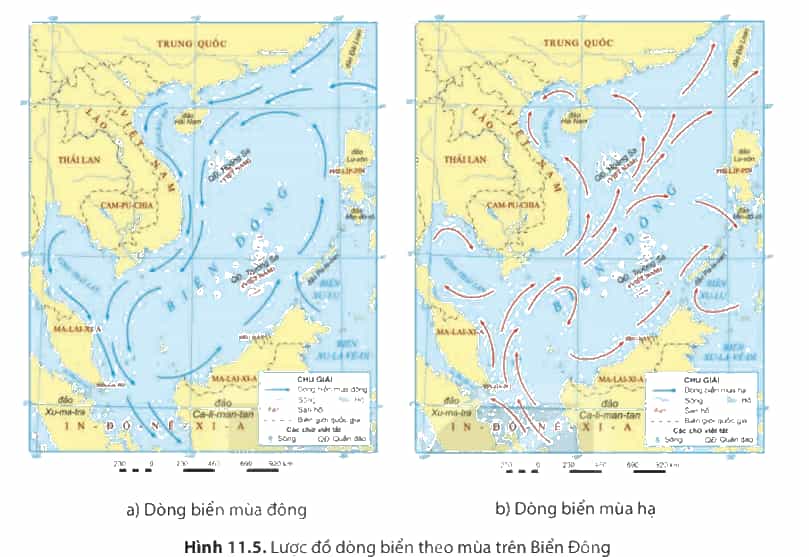 Dựa vào hình 11.5 hãy cho biết sự khác nhau về hướng chảy của dòng biển mùa đông