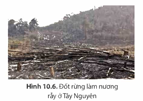Đọc thông tin và quan sát hình ảnh trong mục 2 hãy chứng minh tính cấp thiết