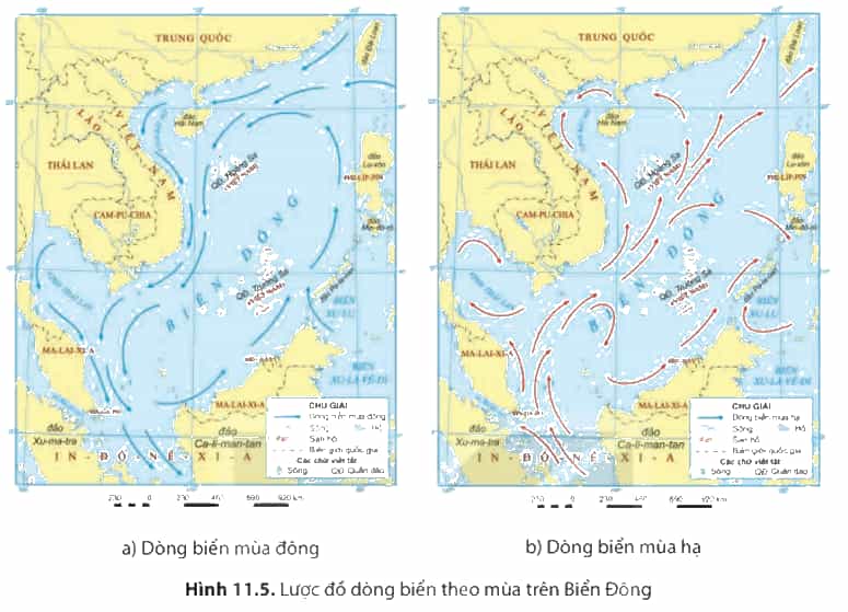 Dựa vào thông tin mục 3 hình 11.5 và kiến thức đã học em hãy trình bày đặc điểm địa hình