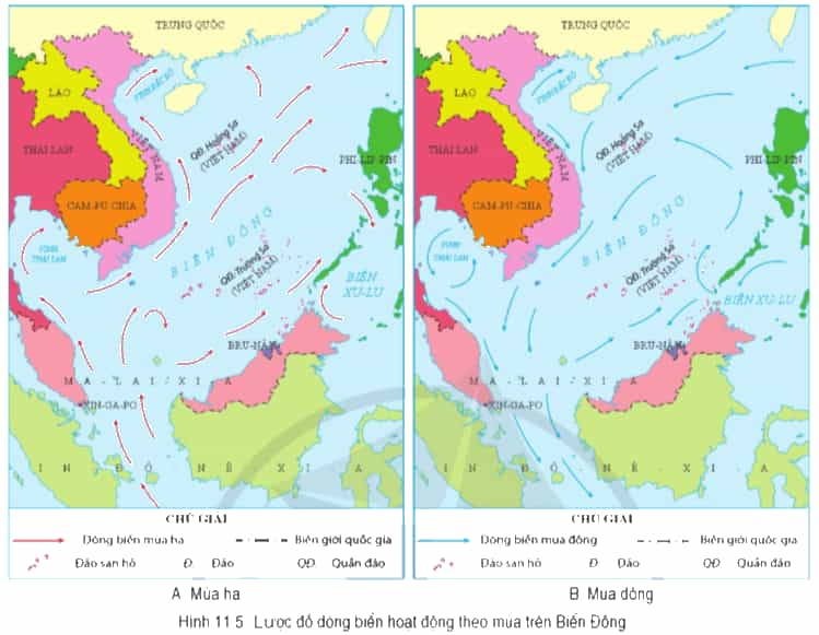 Đọc thông tin và quan sát hình 11.5, hãy trình bày về đặc điểm tự nhiên của vùng biển đảo Việt Nam