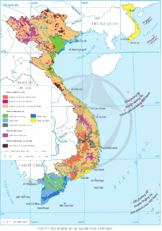Đọc thông tin và quan sát hình 9.1, hãy trình bày đặc điểm, sự phân bố của nhóm đất mùn