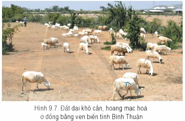 Đọc thông tin và quan sát hình 9.7, hãy chứng minh tính cấp thiết của việc chống thoái hoá đất