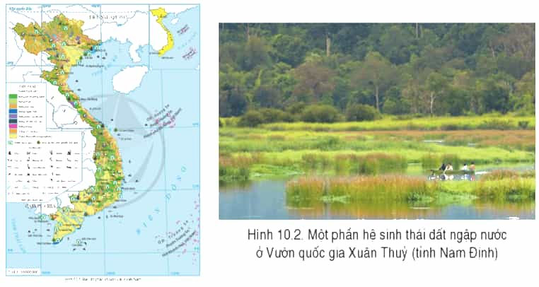 Đọc thông tin và quan sát hình 10.1; 10.2, hãy chứng minh sinh vật nước ta có sự đa dạng