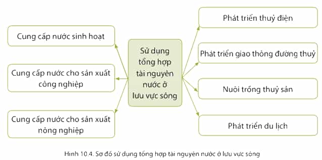 Dựa vào hình 10.4 và thông tin trong bài em hãy lấy ví dụ chứng minh tầm quan trọng