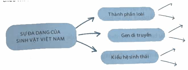 Chứng minh tính đa dạng sinh học của Việt Nam bằng cách