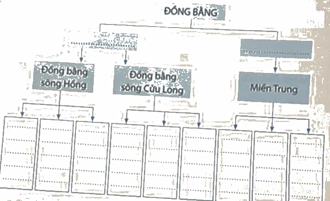 Hãy hoàn thành sơ đồ dưới đây về đặc điểm của địa hình đồng bằng
