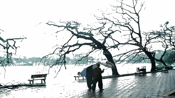 Hãy sưu tầm và dán vào các khung những hình ảnh