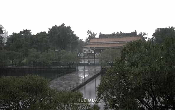Hãy sưu tầm và dán vào các khung những hình ảnh