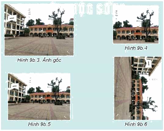 Em hãy quan sát ảnh gốc ở Hình 9b.3 và các hình ảnh kết quả ở Hình 9b.4