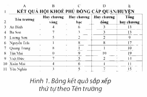 Hình 1 là bảng kết quả hội khoẻ Phù Đổng sắp xếp theo tên trường