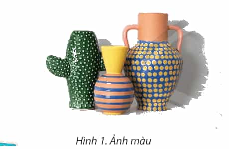 Quan sát và cho biết sự khác nhau giữa bức ảnh ở Hình
