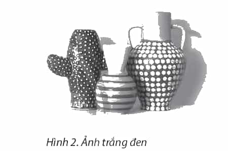 Quan sát và cho biết sự khác nhau giữa bức ảnh ở Hình