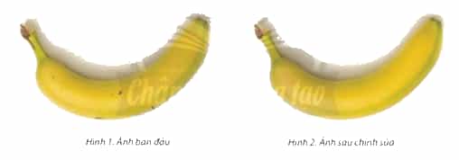 Quan sát và cho biết sự khác nhau giữa các bức ảnh ở Hình 1 và Hình 2