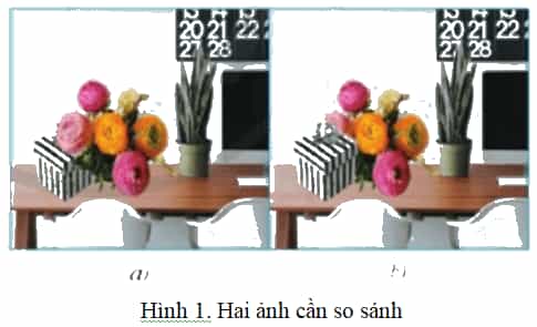 1. Em hãy tìm sự khác nhau giữa hai bức ảnh ở Hình 1 em thấy thích bức ảnh nào hơn