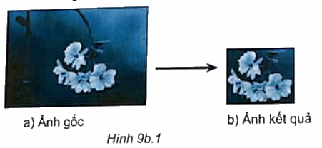 Quan sát Hình 9b.1 và cho biết ảnh đã được xử lí bằng cách nào