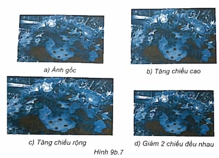 Thực hành: Sử dụng phần mềm chỉnh sửa ảnh để thay đổi kích thước ảnh gốc