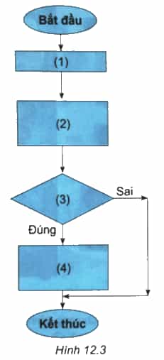 Chỉ số BMI còn được gọi là chỉ số khối lượng cơ thể (Body Mass Index)