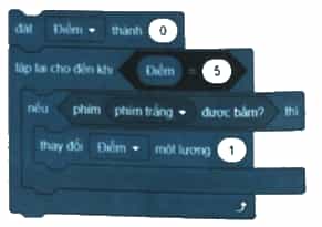 Biến Điểm được sử dụng trong một trò chơi. Khối lệnh sau đây thực hiện trò chơ