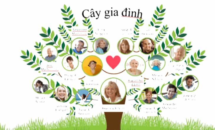 Hình 1 là trang chiếu của bản mẫu được cung cấp sẵn trong phần mềm PowerPoint