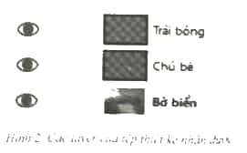 Bạn Tuấn và bạn An nhận được một tệp thiết kế có ba layer như Hình 2