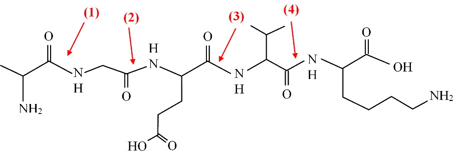 A diagram of a chemical structure
AI-generated content may be incorrect.