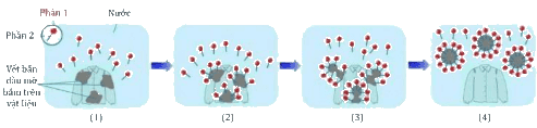 A diagram of a diagram of a plant

AI-generated content may be incorrect.