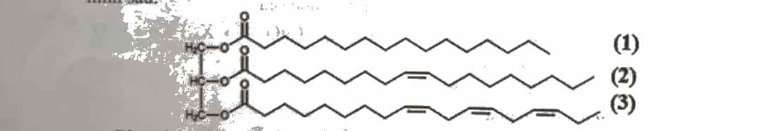A black line on a white surface
Description automatically generated