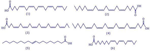 Several lines of chemical formulas
AI-generated content may be incorrect.