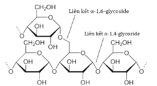 A diagram of a chemical structure
AI-generated content may be incorrect.