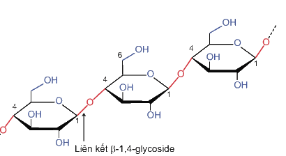 A diagram of a chemical formula
AI-generated content may be incorrect.