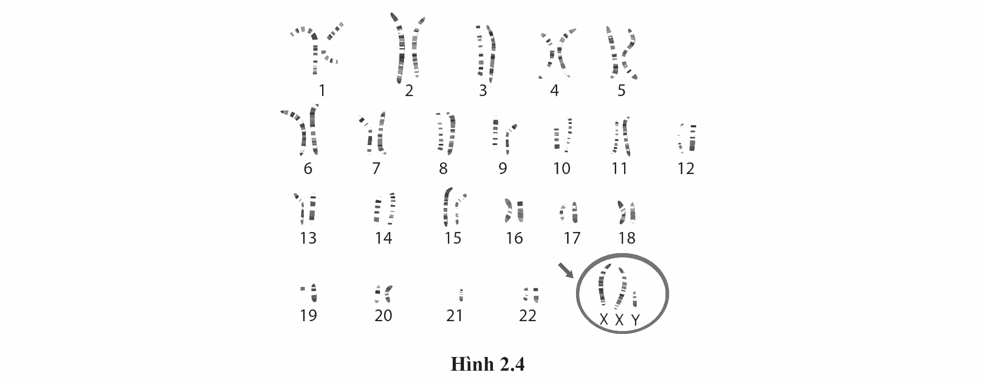 select answer image