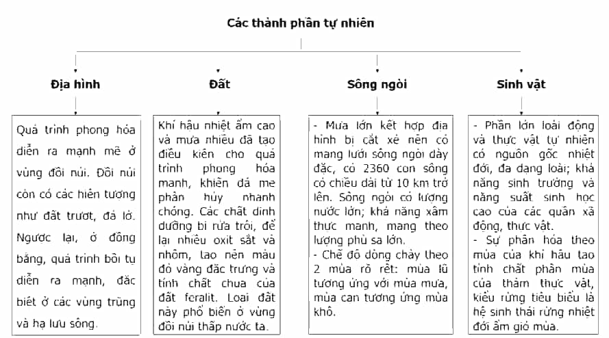 Hoàn thành thông tin về biểu hiện của thiên nhiên nhiệt đới ẩm gió mùa ở nước ta